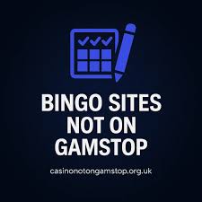 Understanding Online Bingo Without Registration Understanding Online Bingo Without Registration
