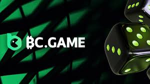 Discover Exciting Promo Codes and Bonuses at BC.Game 954359254