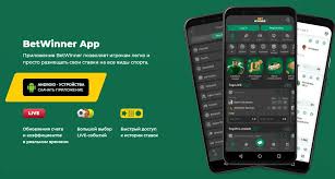 Download the APK File for BetWinner FR - Your Ultimate Betting Companion