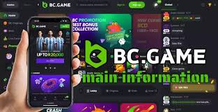 How to Download the BC A Complete Guide