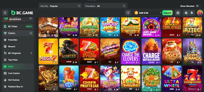 Exploring BC.Game Casino and Sportsbook A Premier Gaming Destination